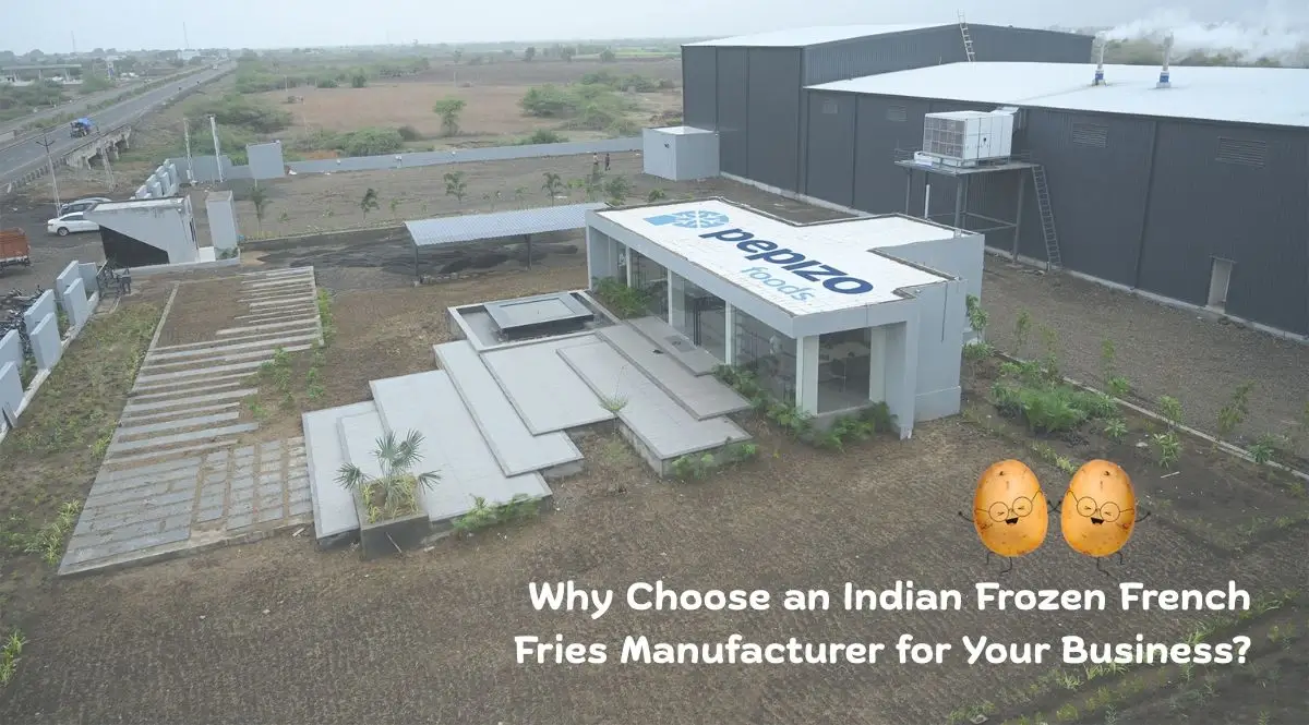 Why Choose an Indian Frozen French Fries Manufacturer for Your Business?