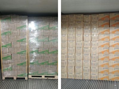 Why B2B Partners Prefer Pepizo as Their Frozen Food Exporters in India